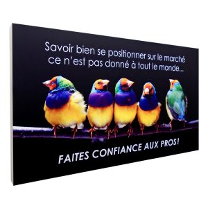 Cadre rétroéclairé